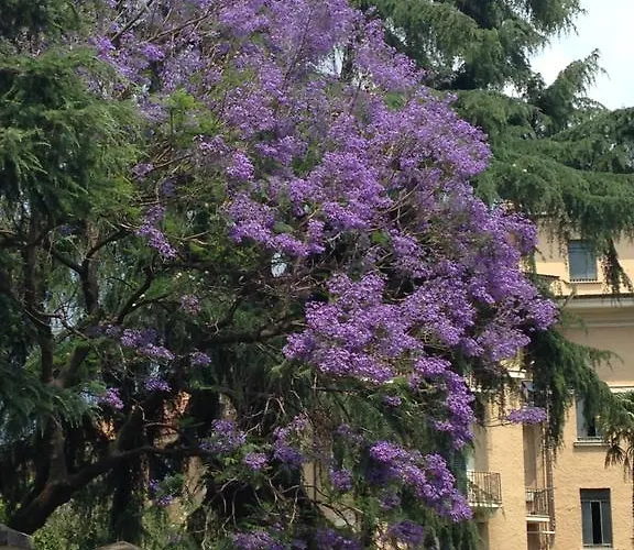 In Isole Affittacamere Roma